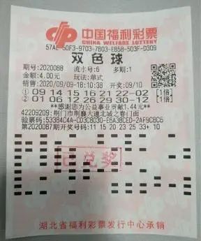 今晚买彩票四不像必中一肖，专家的解答与解释落实策略揭秘今晚买四不像必中一肖,专家解答解释落实_c616.34.50