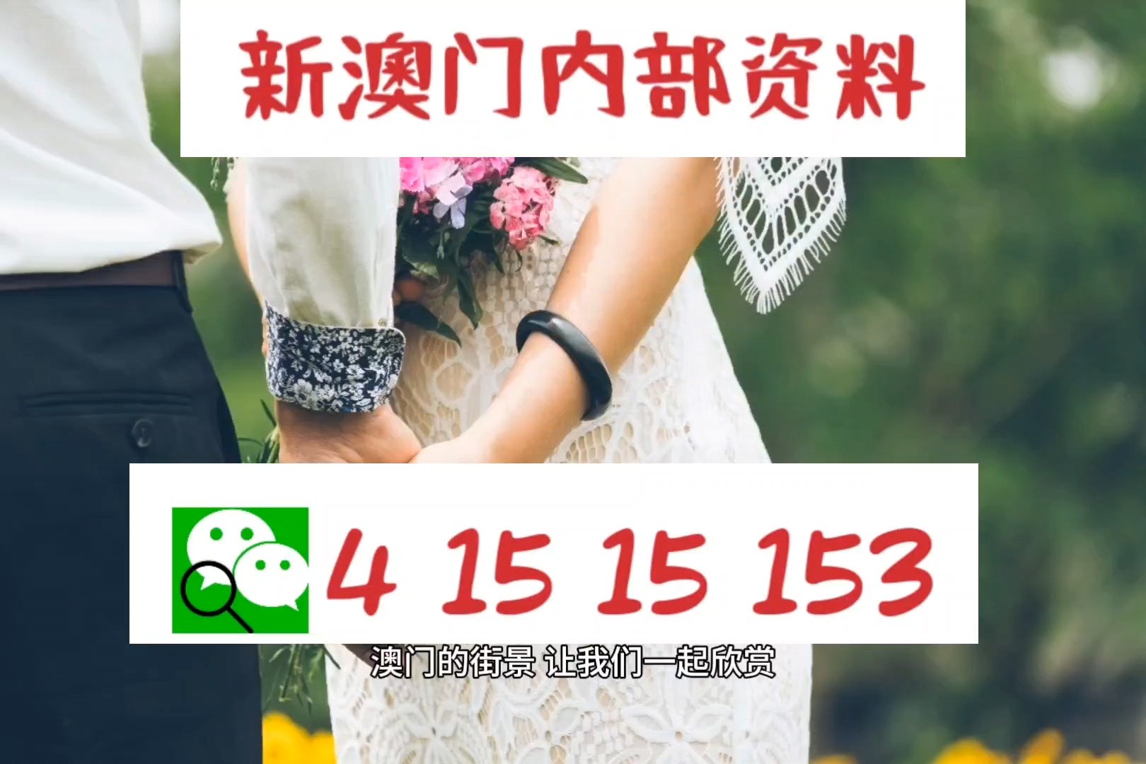 探索幸运之门，新澳精准资料免费提供网站与静态版7.983秘籍揭秘新澳精准资料免费提供网站,探索幸运的精准秘籍_静态版7.983